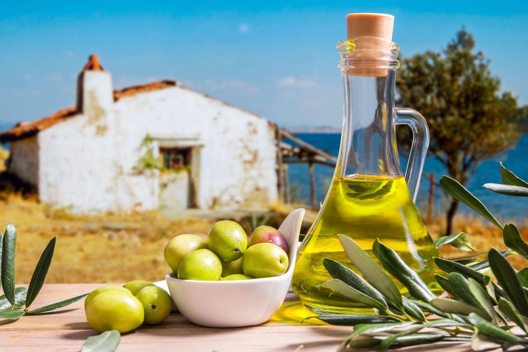 Olive oil. Оливковое масло Средиземноморье. Оливковое масло Эстетика. Оливки и оливковое масло Италии.